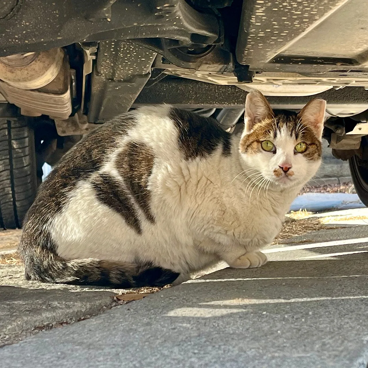 IMG%EF%BC%BF1150.jpg?type=w1600