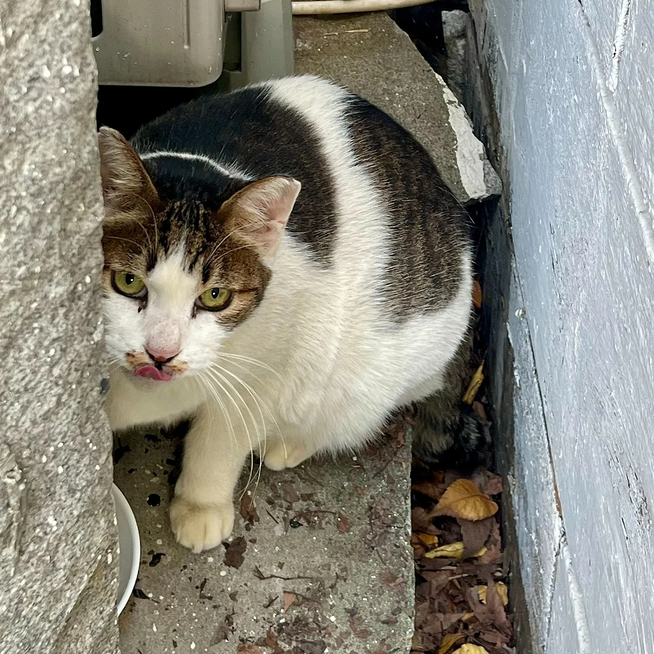 SE-9067C300-E764-40F7-9676-A8865D886878.jpg?type=w1600