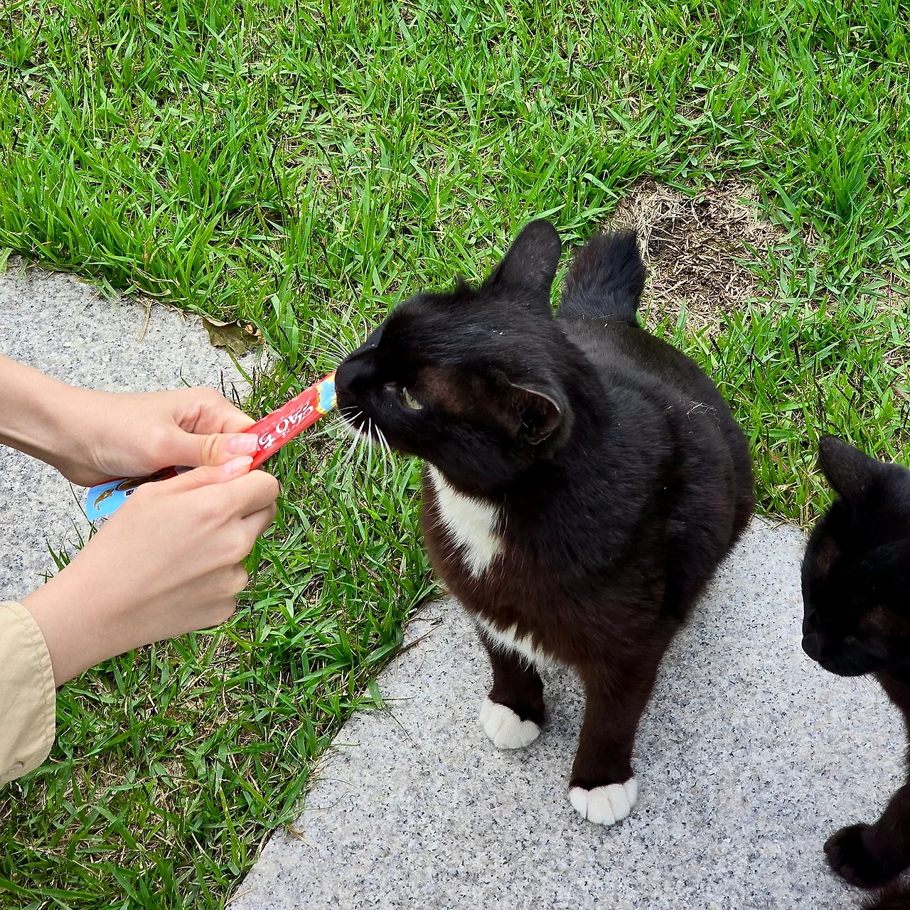 IMG_4809.JPG?type=w1600