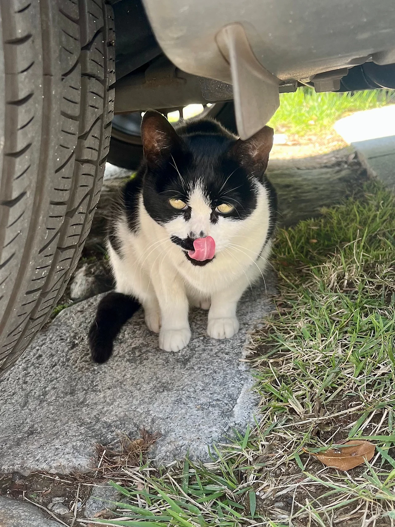 IMG%EF%BC%BF3422.jpg?type=w1600