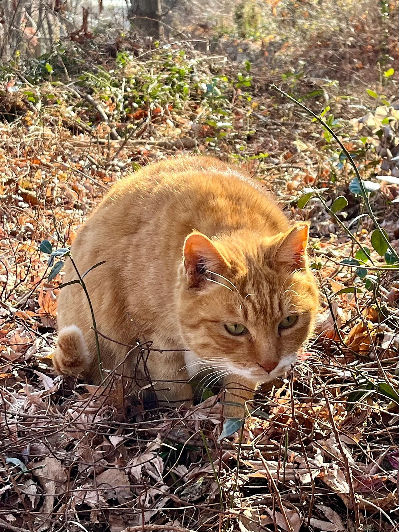 IMG%EF%BC%BF1003.jpg?type=w1600