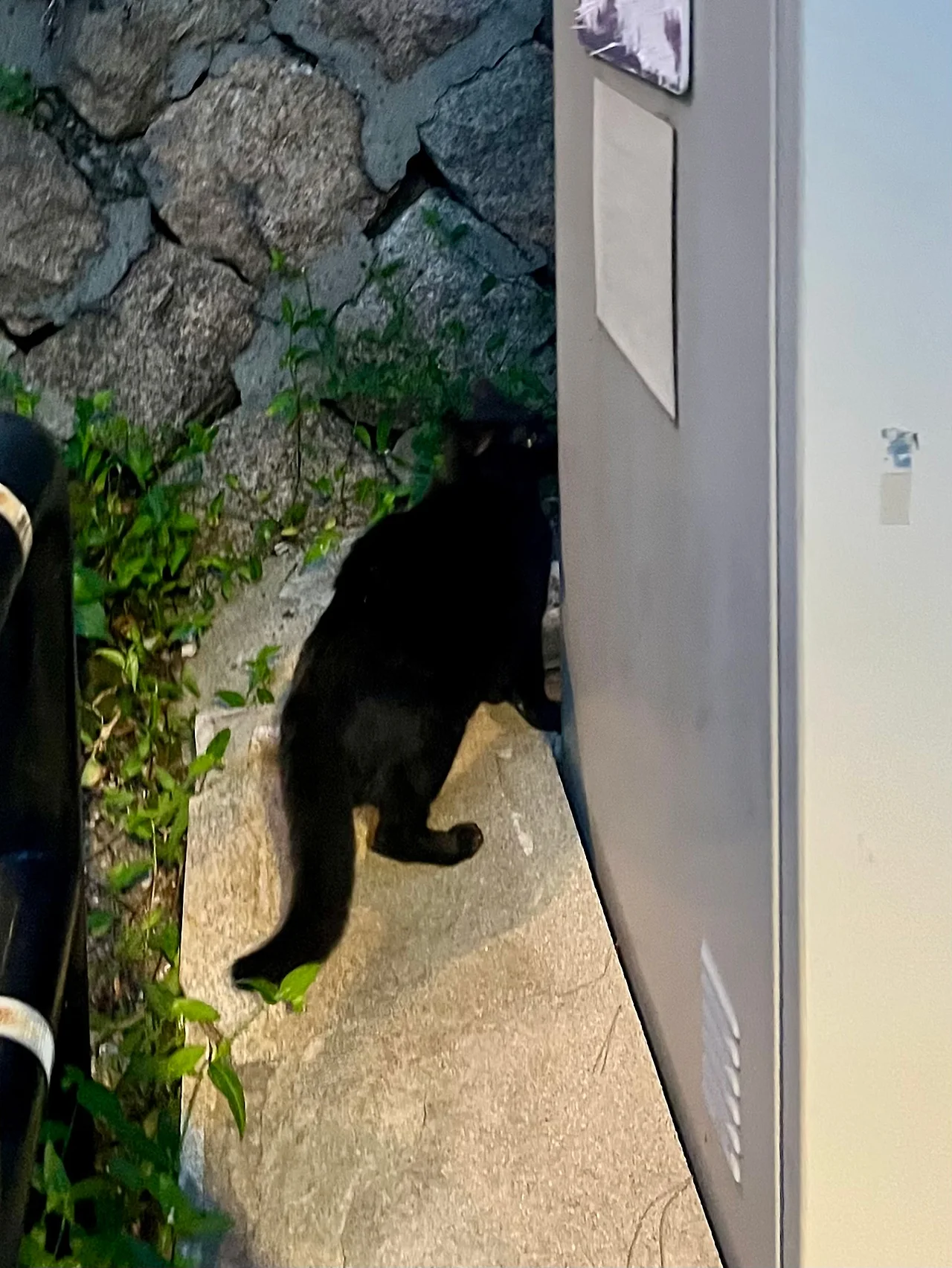 IMG%EF%BC%BF1099.jpg?type=w1600