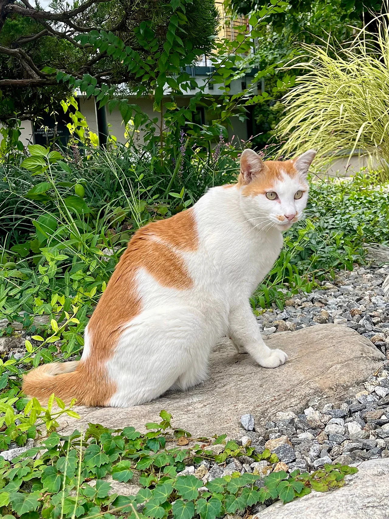 IMG%EF%BC%BF1939.jpg?type=w1600