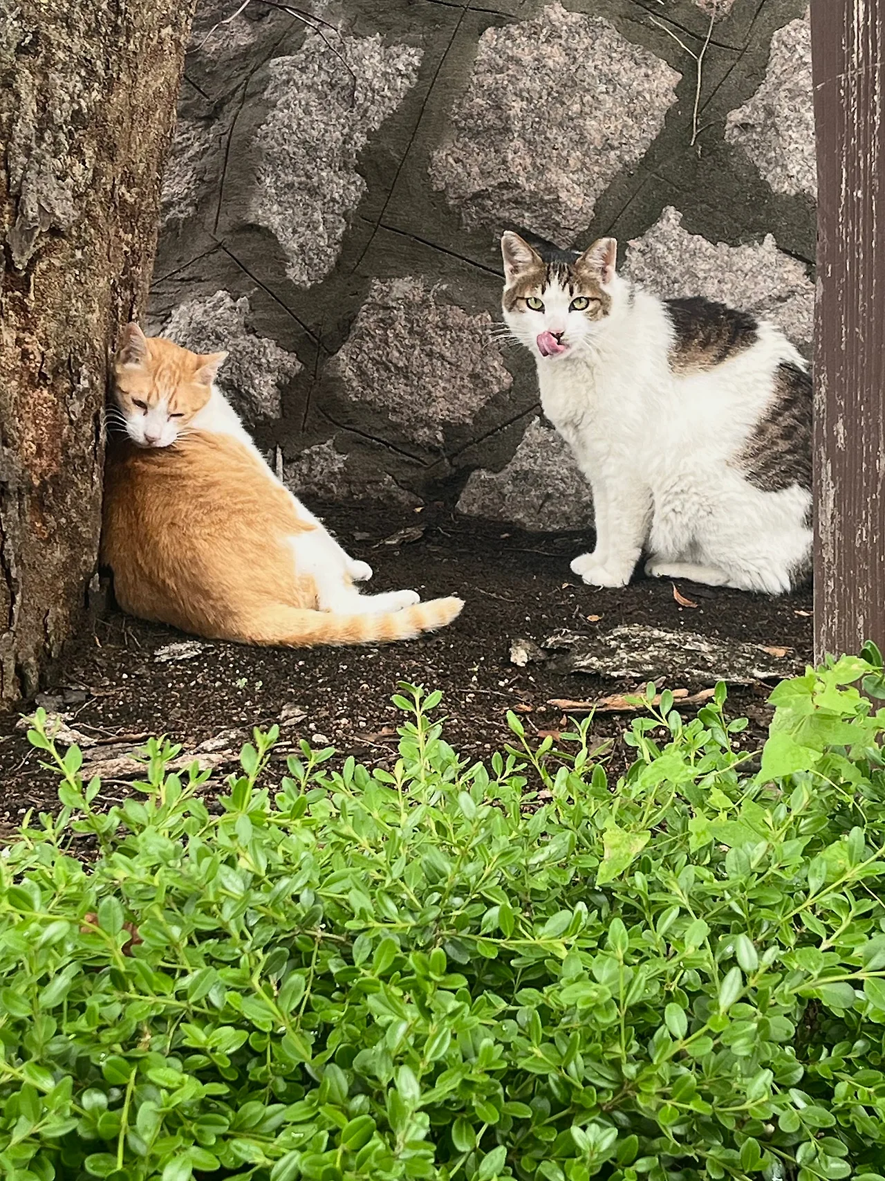 IMG%EF%BC%BF8234.jpg?type=w1600