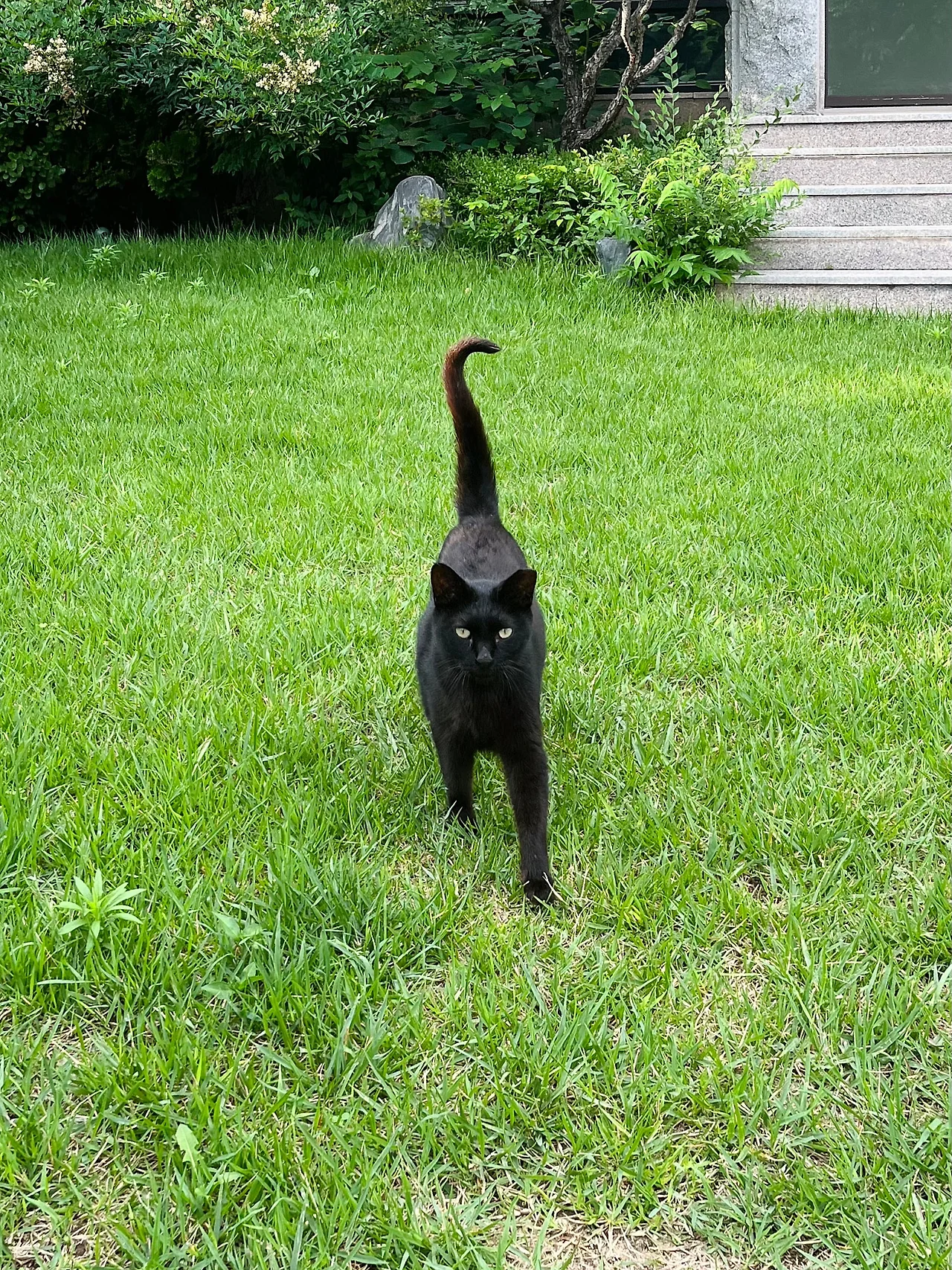 IMG%EF%BC%BF7087.jpg?type=w1600