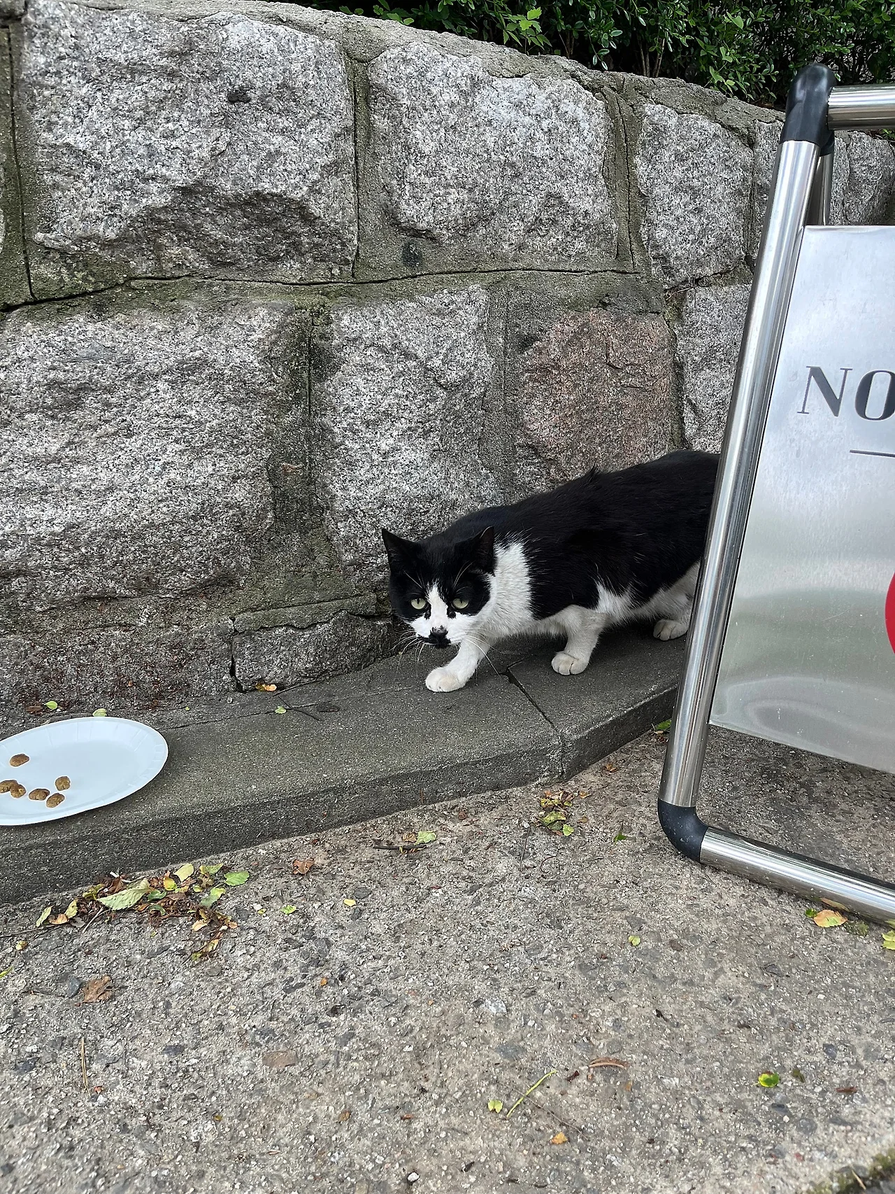 IMG%EF%BC%BF4368.jpg?type=w1600