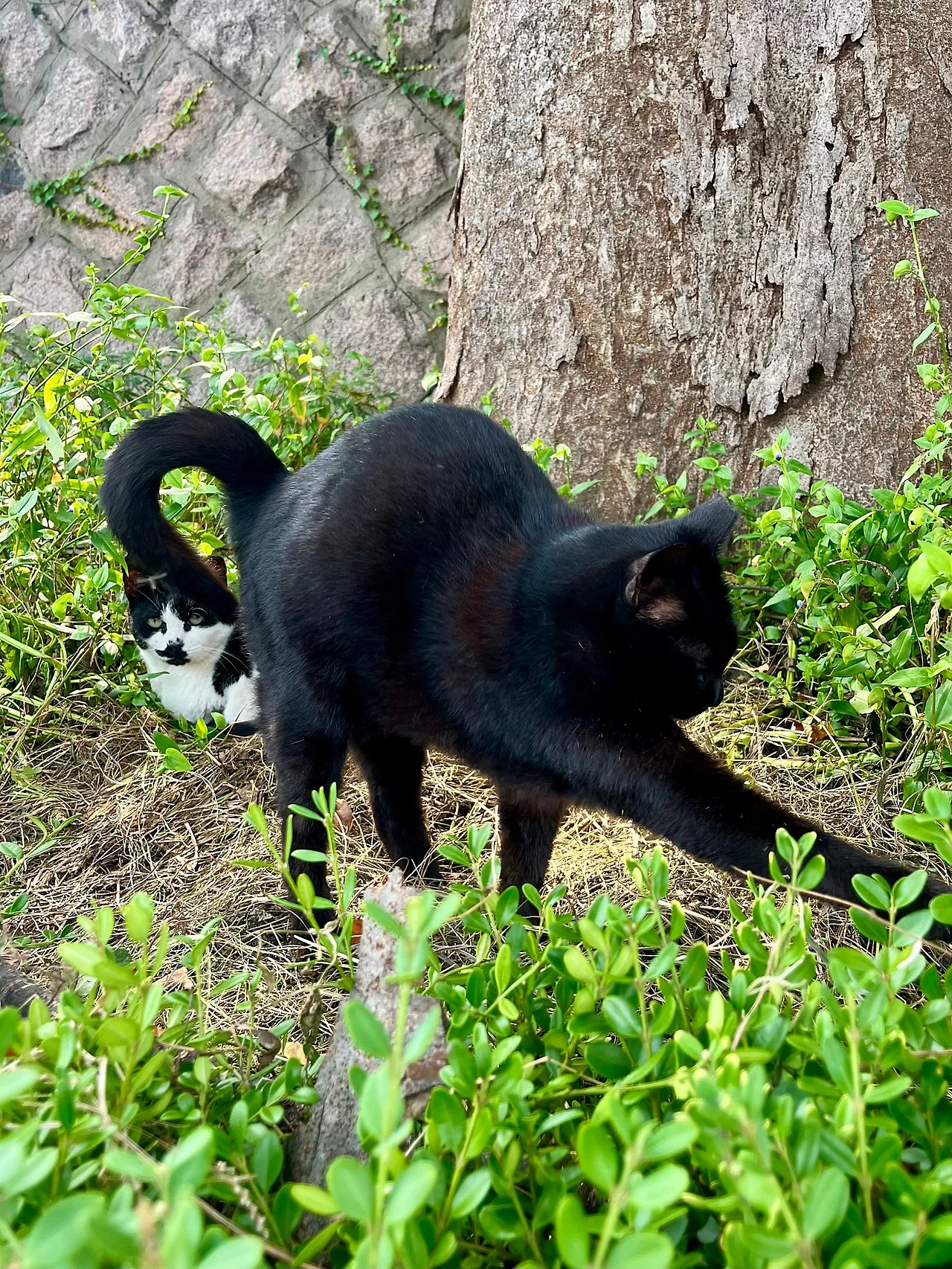 IMG%EF%BC%BF2676.jpg?type=w1600