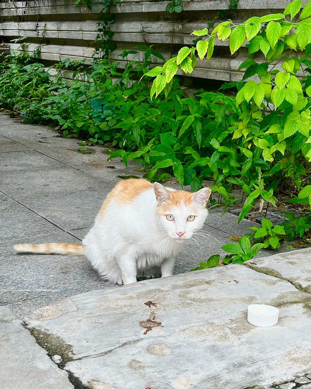 IMG%EF%BC%BF6876.jpg?type=w1600