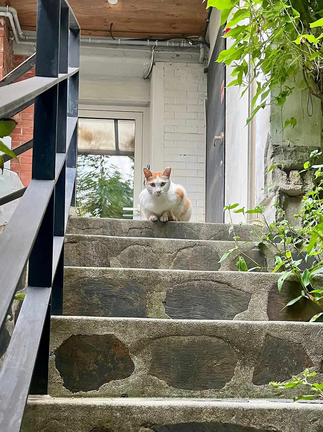 IMG%EF%BC%BF0726.jpg?type=w1600