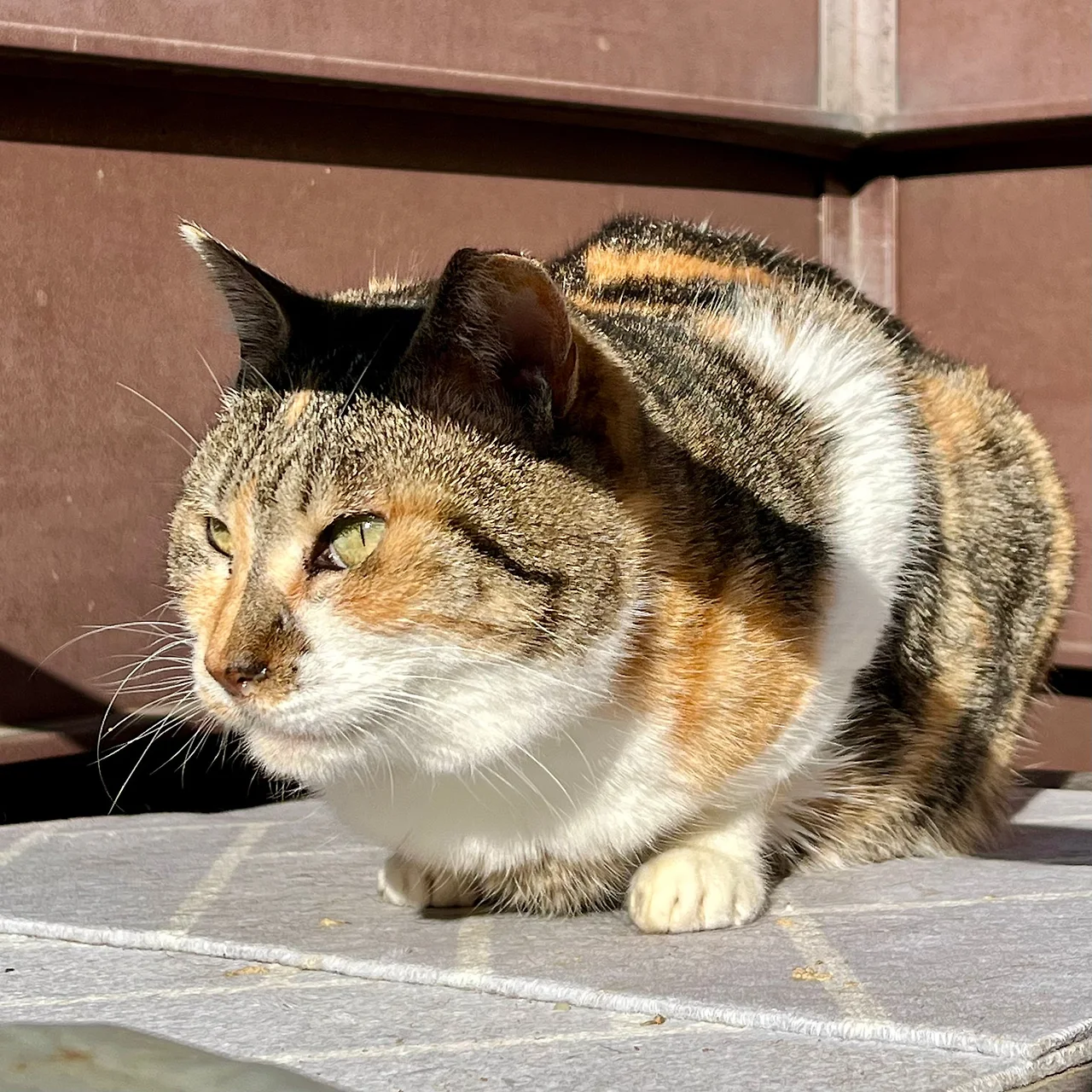 IMG%EF%BC%BF9996.jpg?type=w1600