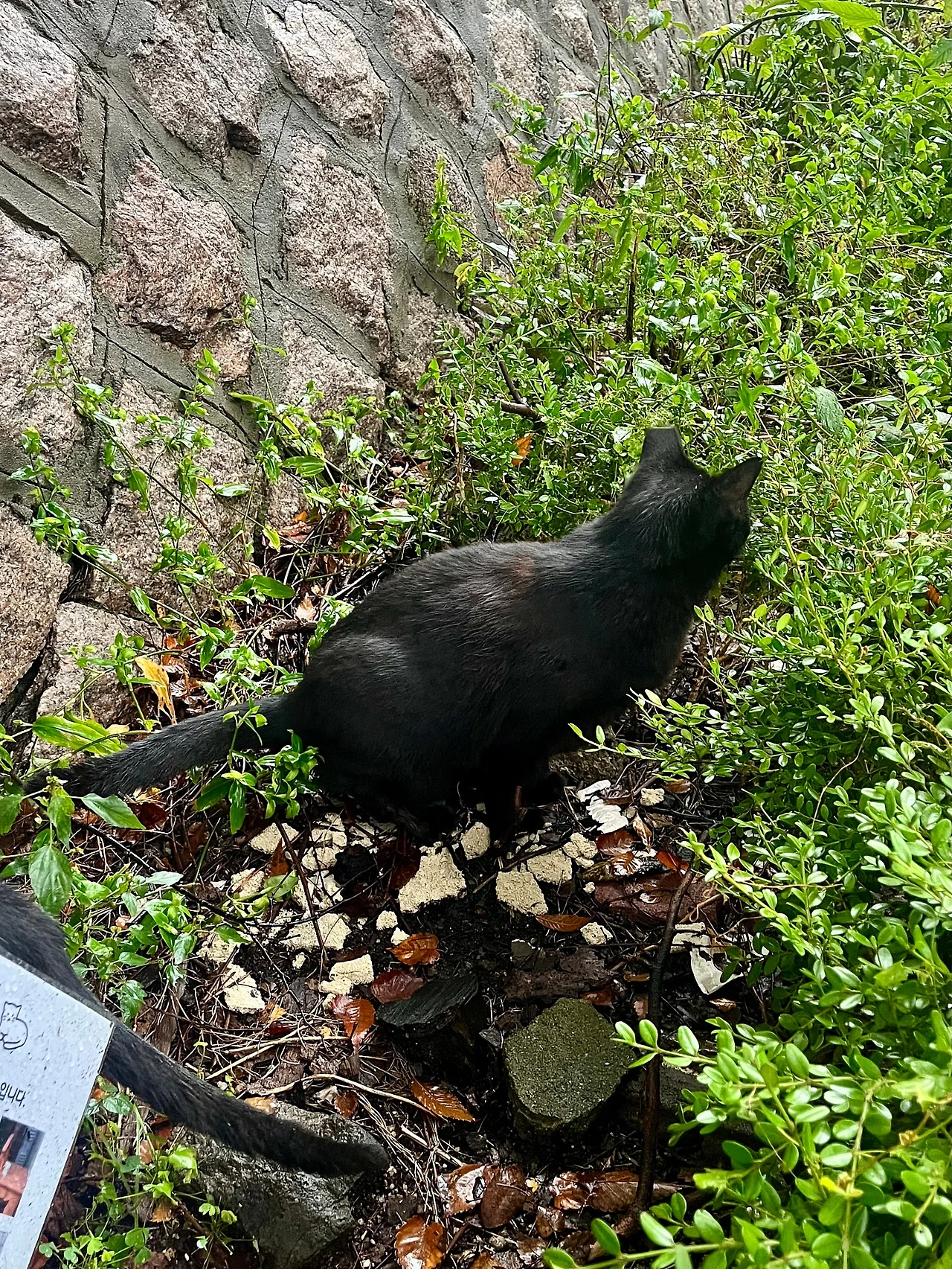 IMG%EF%BC%BF2054.jpg?type=w1600