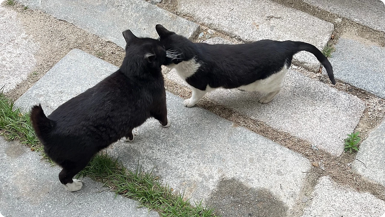 IMG_4653.jpg?type=w1600