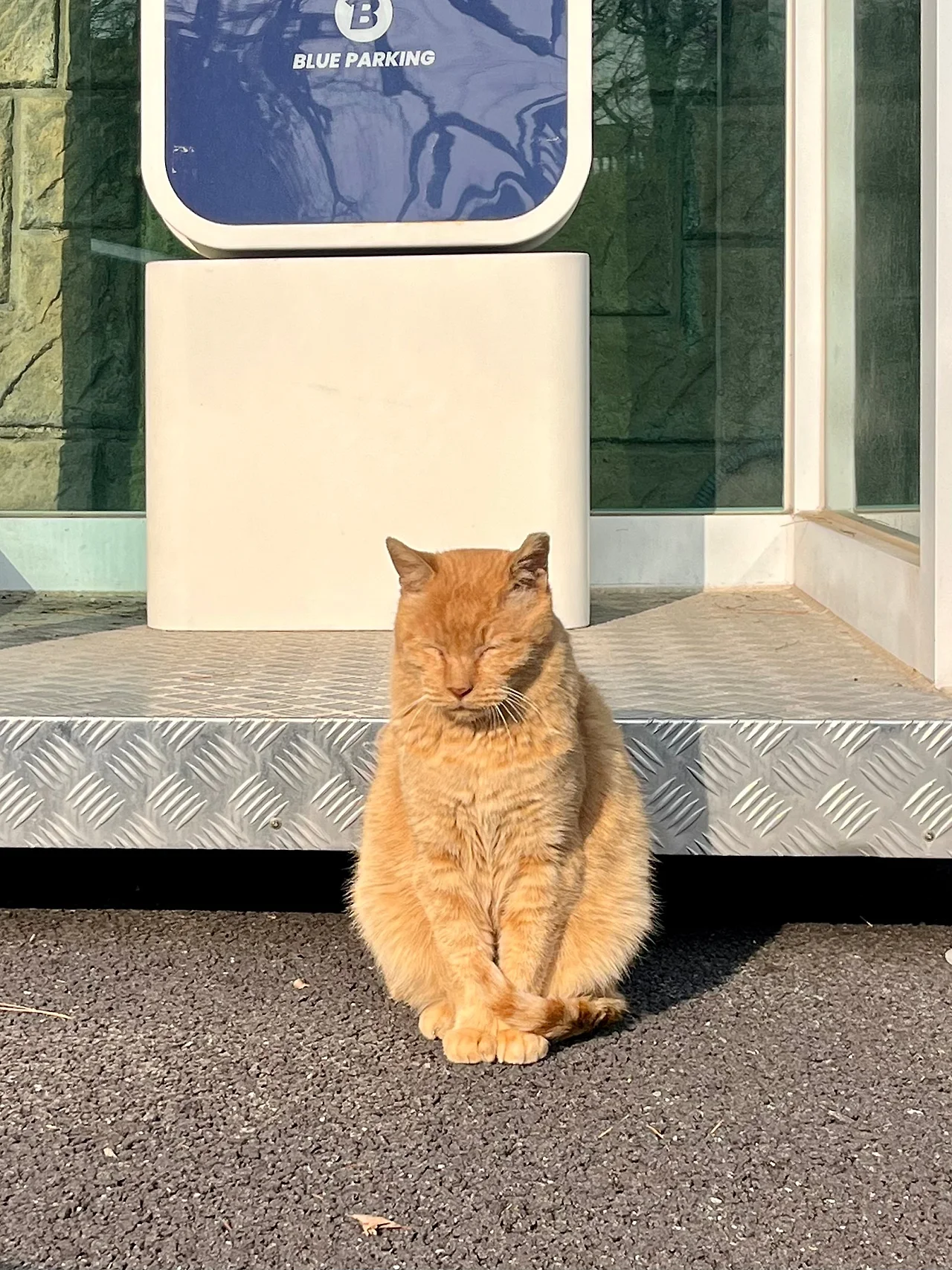 IMG%EF%BC%BF9448.jpg?type=w1600