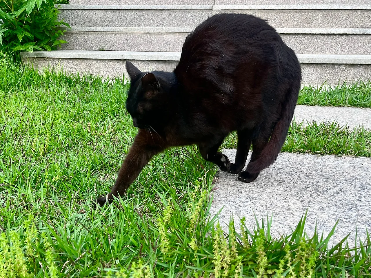 IMG_4747.jpg?type=w1600