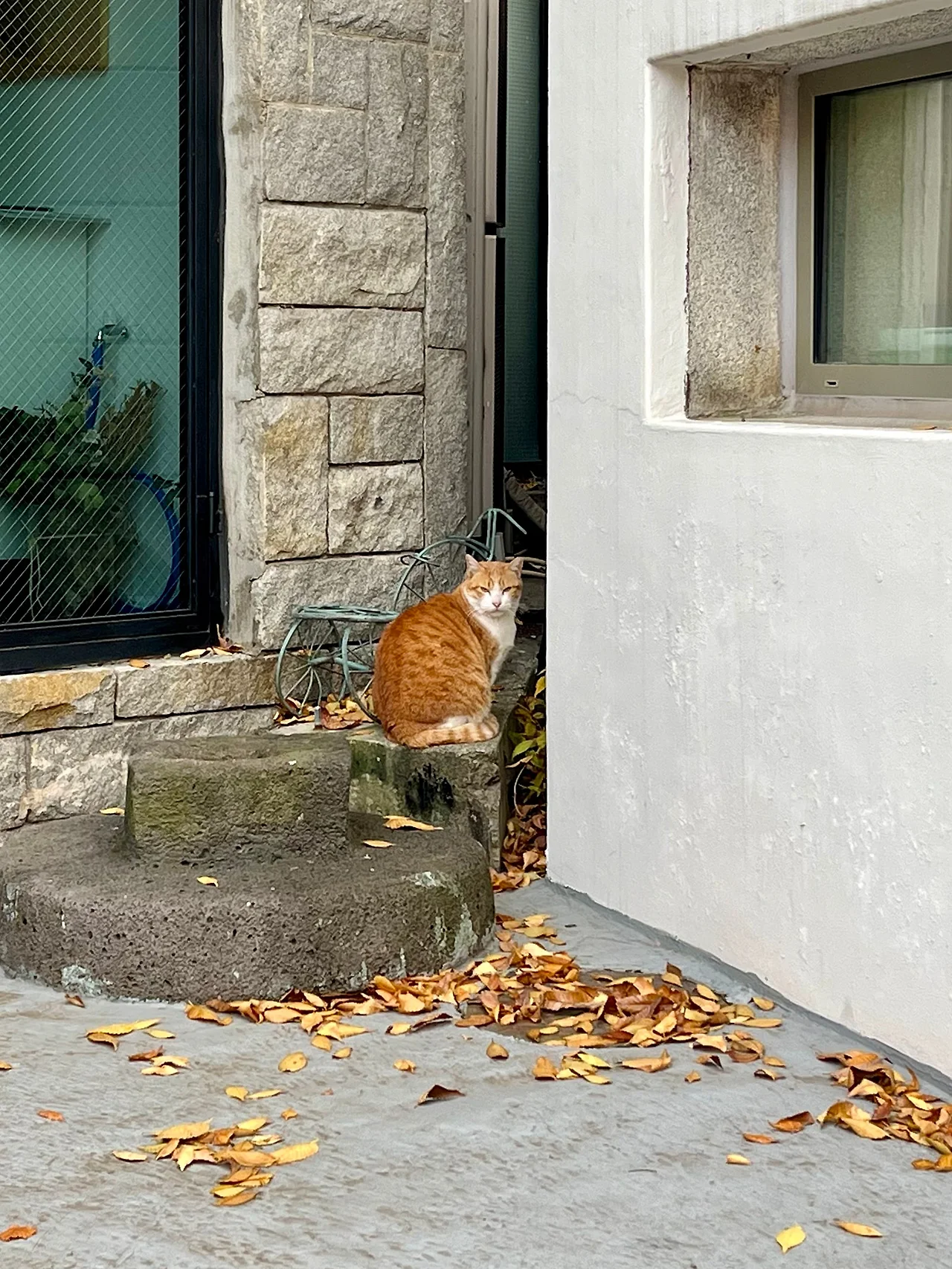 IMG%EF%BC%BF5561.jpg?type=w1600