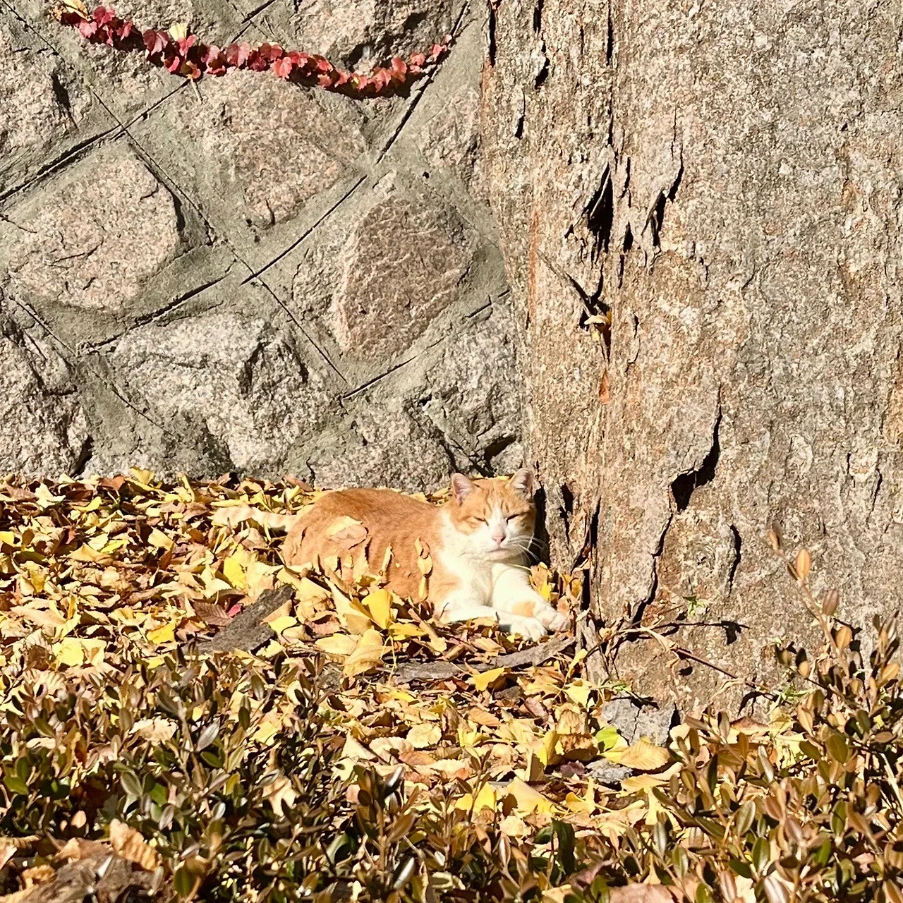 output%EF%BC%BF2931777799.jpg?type=w1600