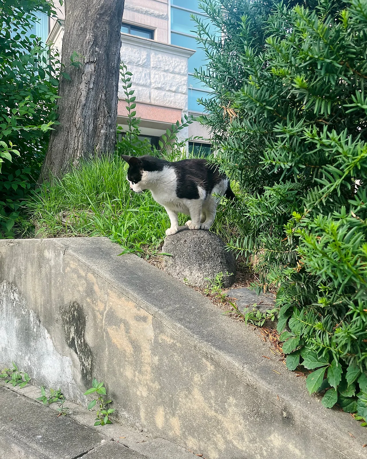 IMG%EF%BC%BF6970.jpg?type=w1600