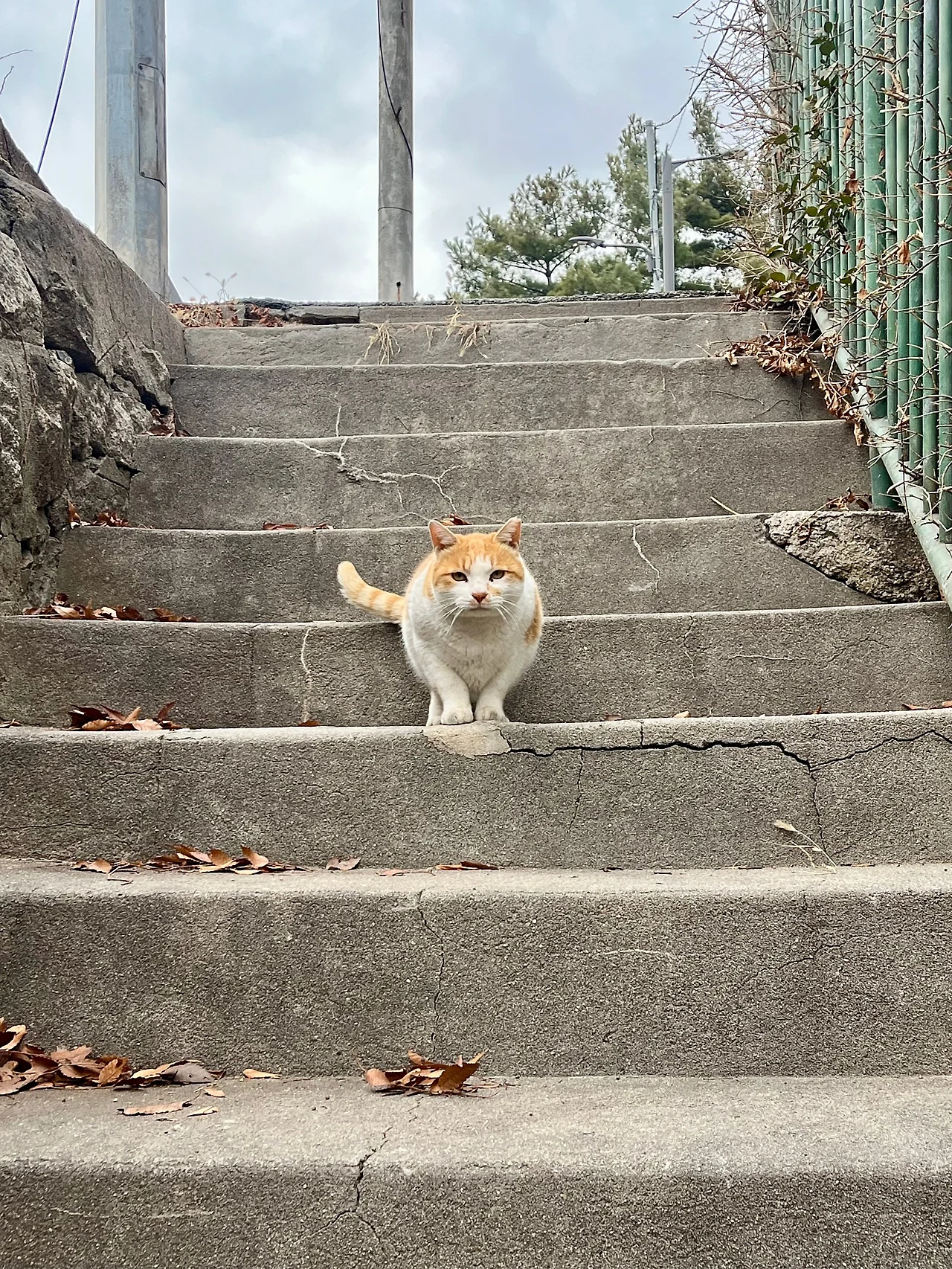 IMG%EF%BC%BF1270.jpg?type=w1600