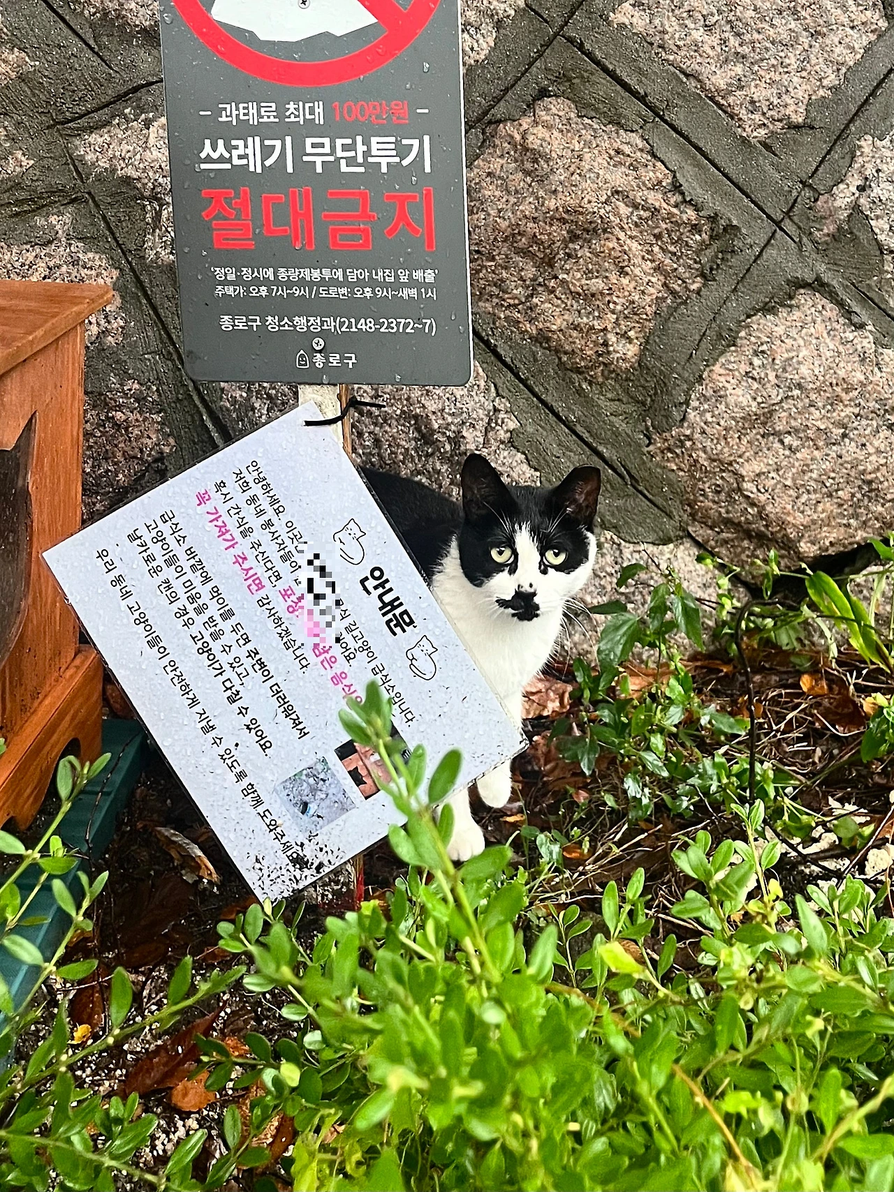 IMG%EF%BC%BF2055.jpg?type=w1600