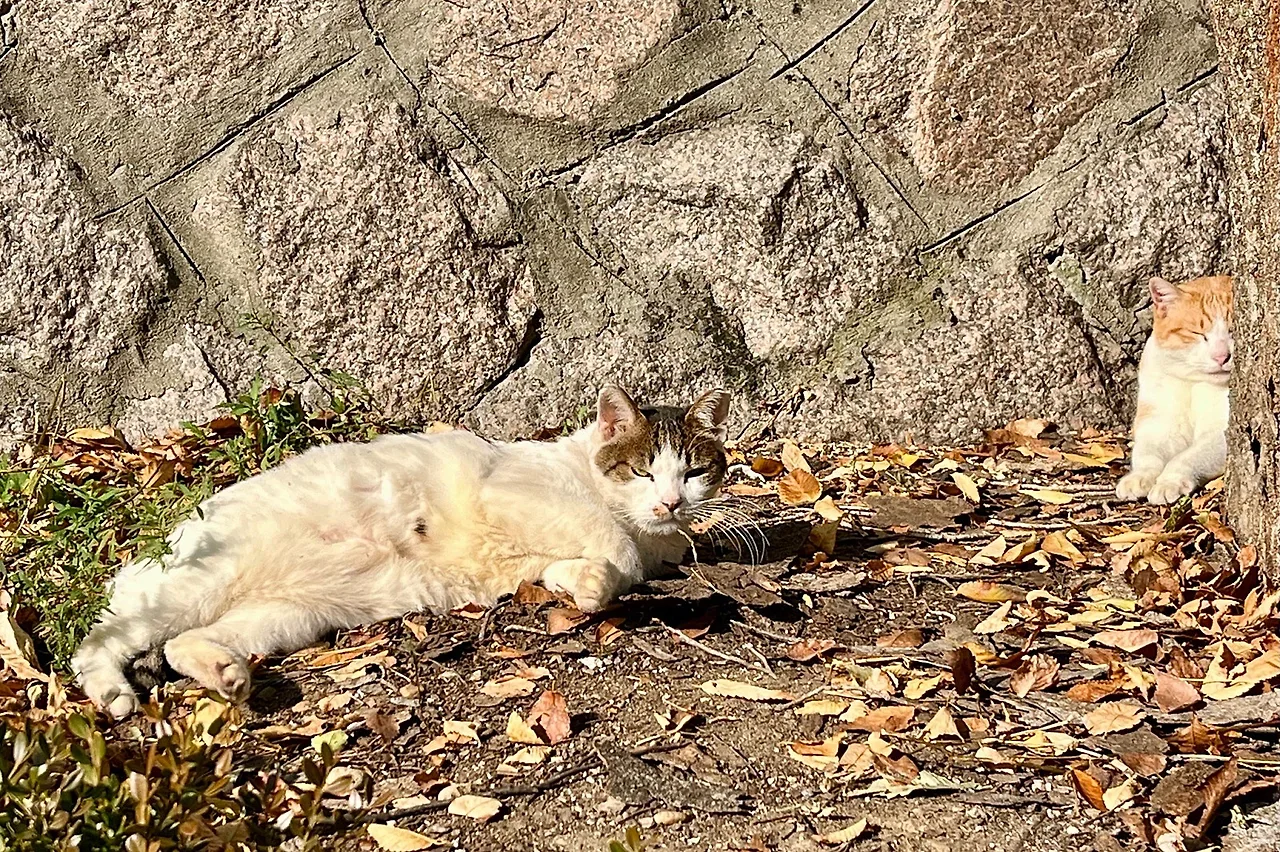 output%EF%BC%BF2478425577.jpg?type=w1600