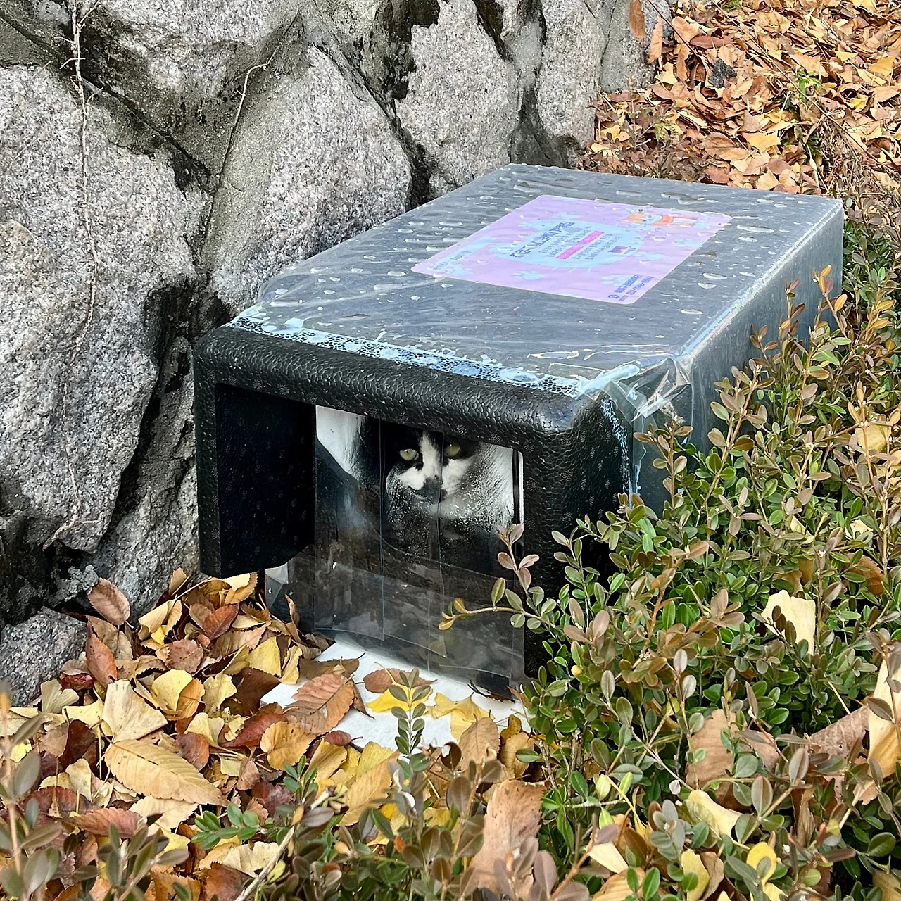 IMG%EF%BC%BF9478.jpg?type=w1600