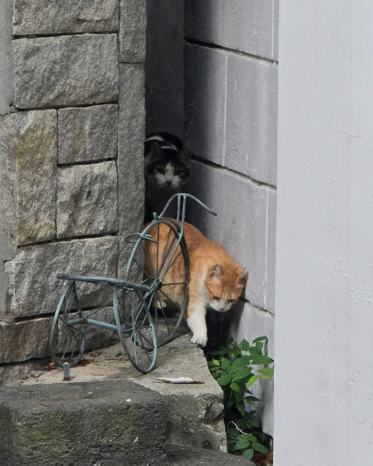 IMG_4800.JPG?type=w1600