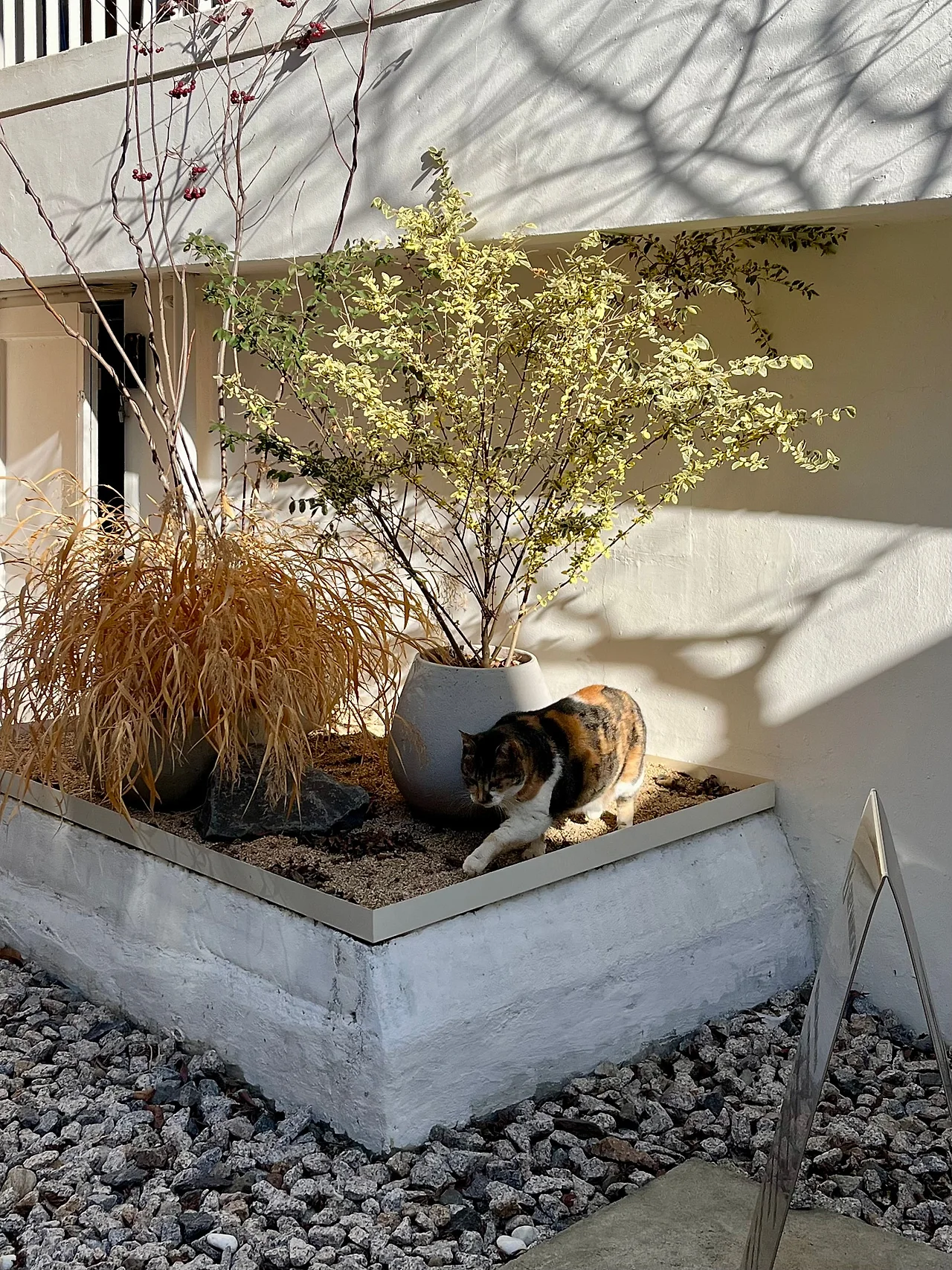 IMG%EF%BC%BF1125.jpg?type=w1600