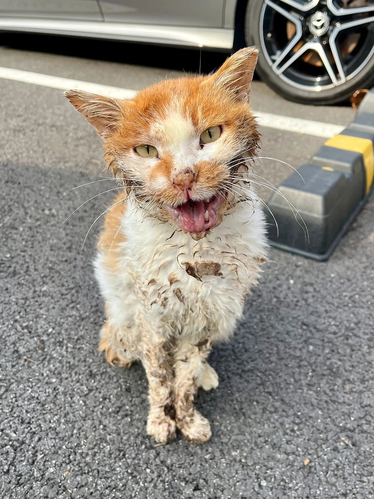 IMG%EF%BC%BF9194.jpg?type=w1600