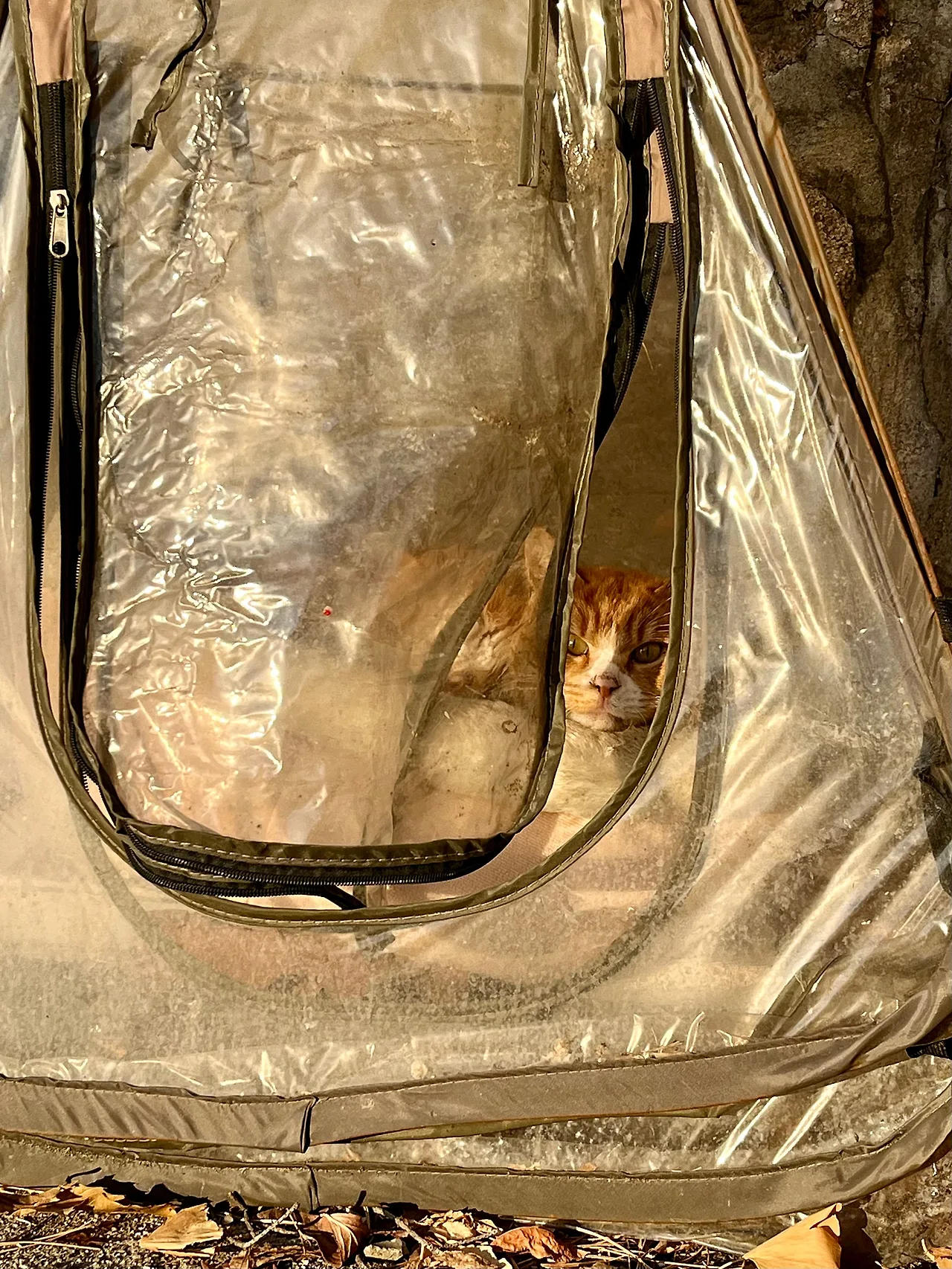 IMG%EF%BC%BF0819.jpg?type=w1600