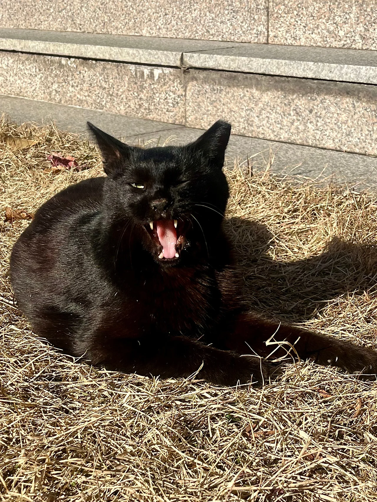 IMG%EF%BC%BF8873.jpg?type=w1600