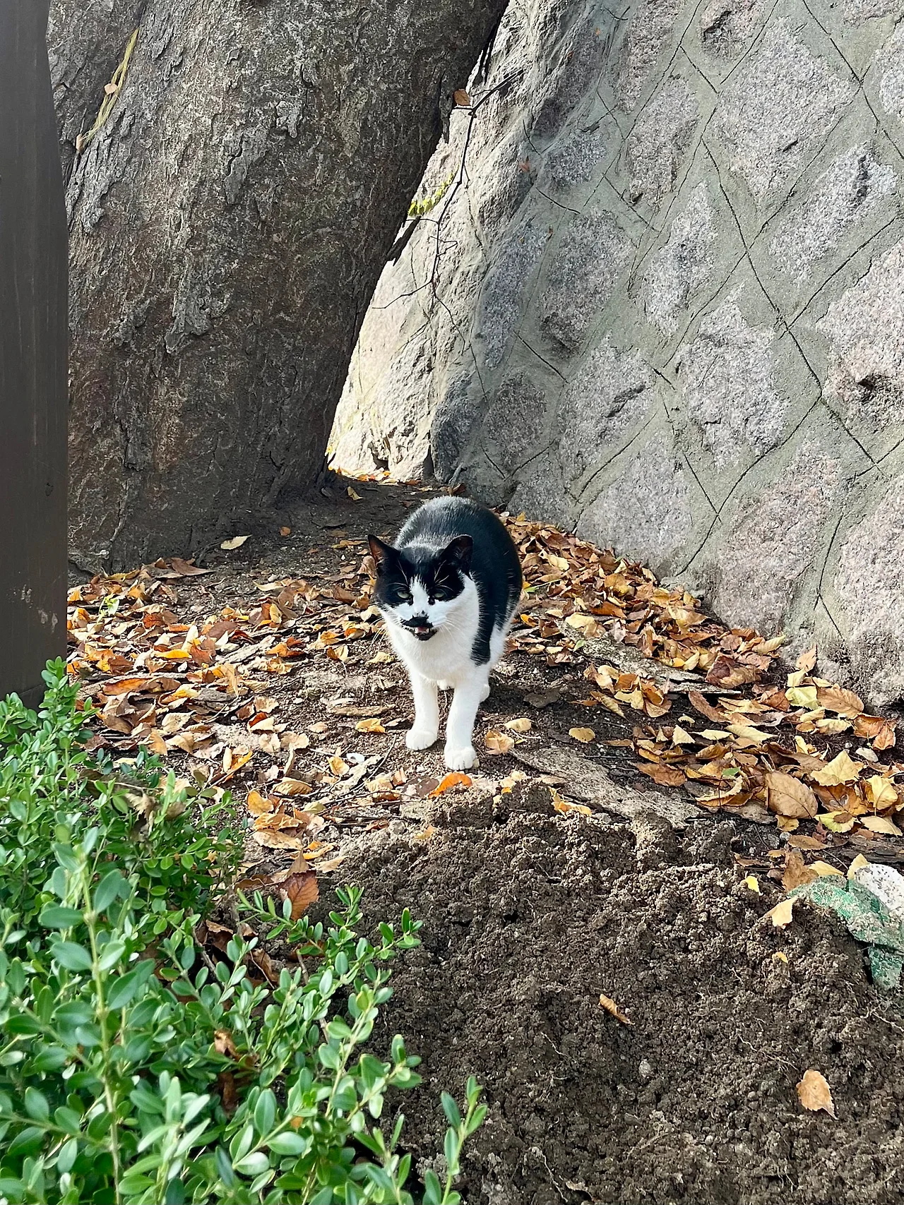 IMG%EF%BC%BF3570.jpg?type=w1600