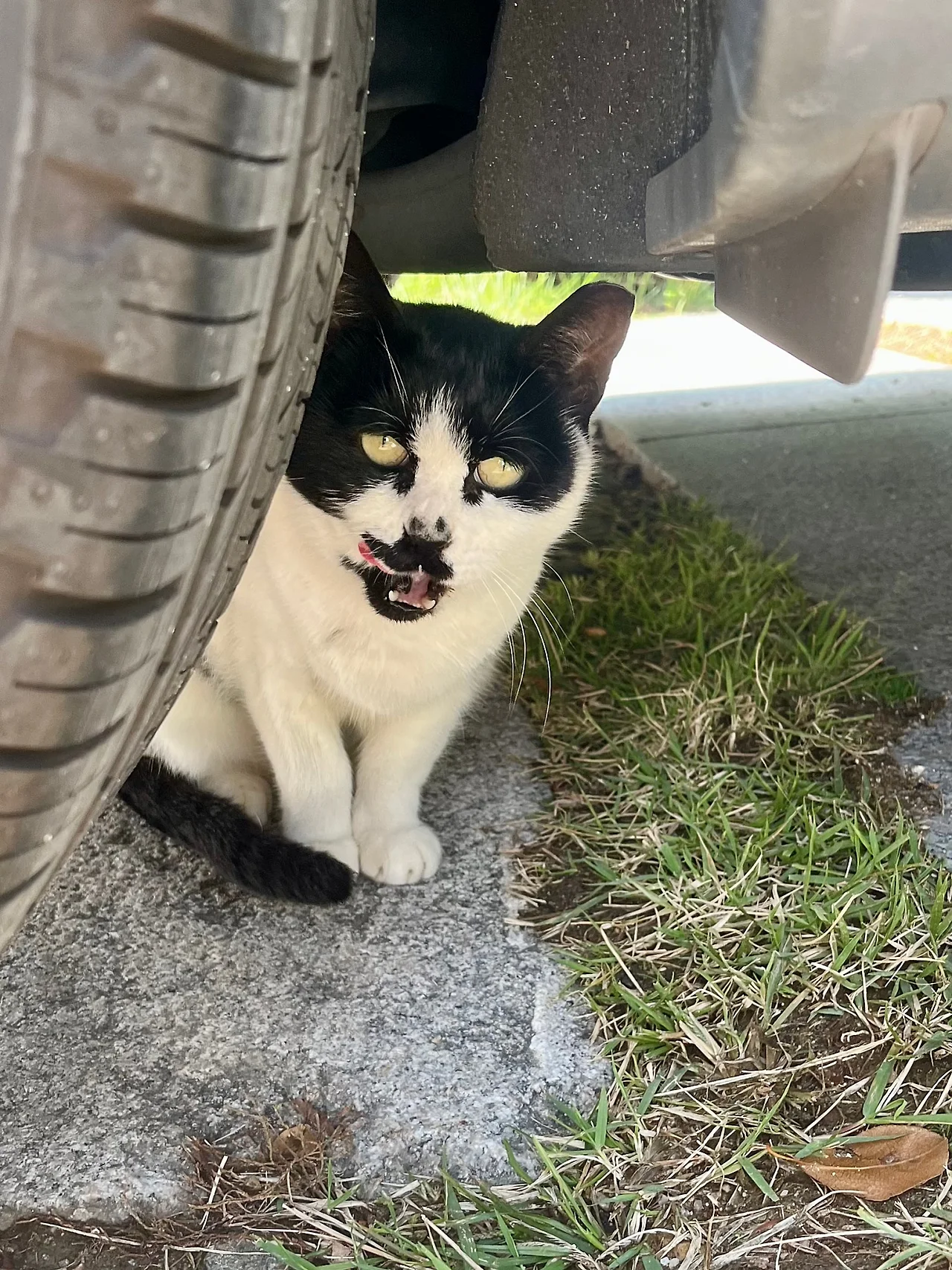 IMG%EF%BC%BF3419.jpg?type=w1600