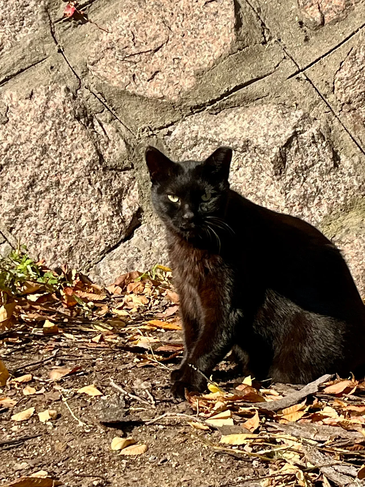 IMG%EF%BC%BF4526.jpg?type=w1600