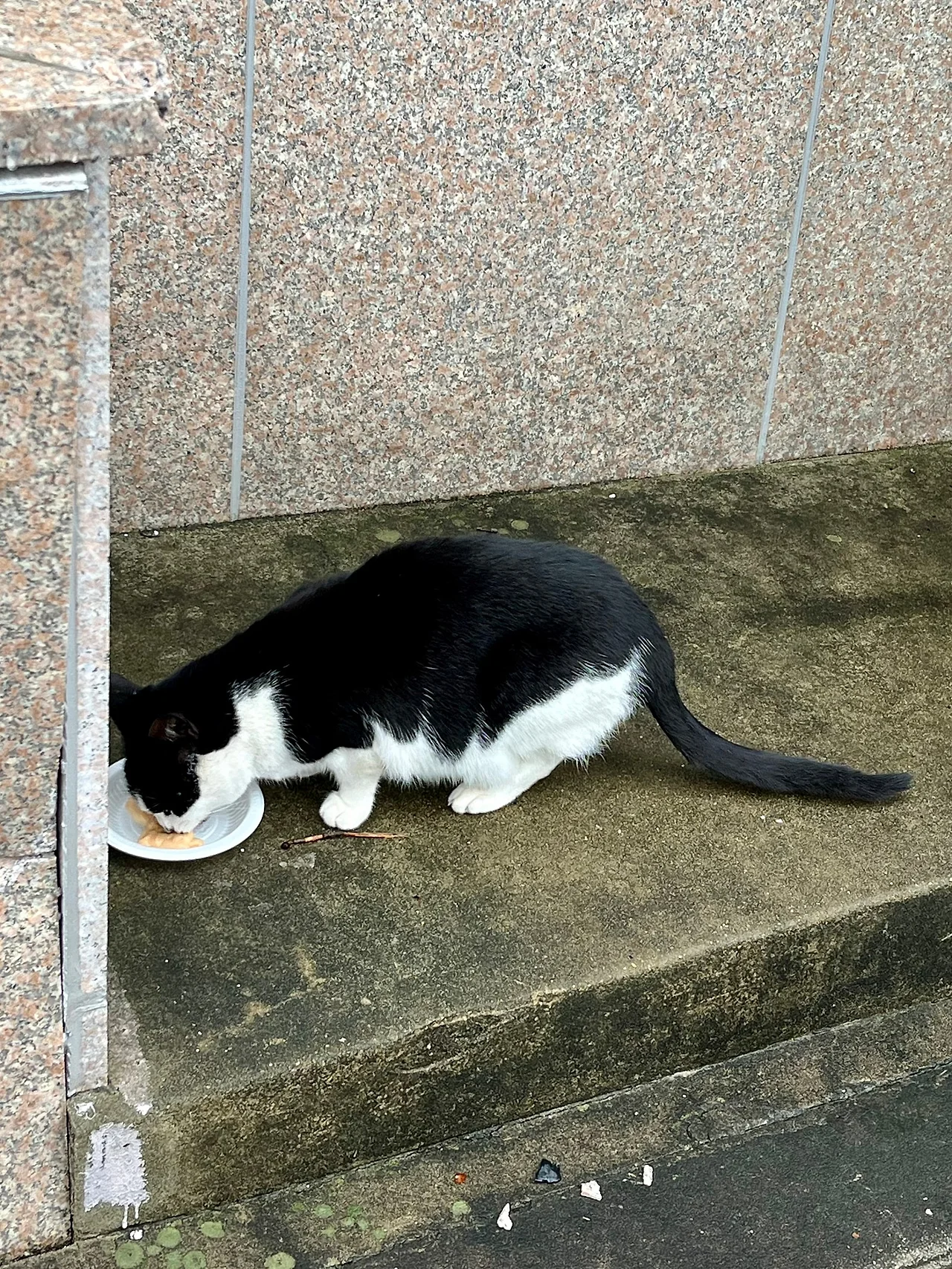 IMG%EF%BC%BF3131.jpg?type=w1600