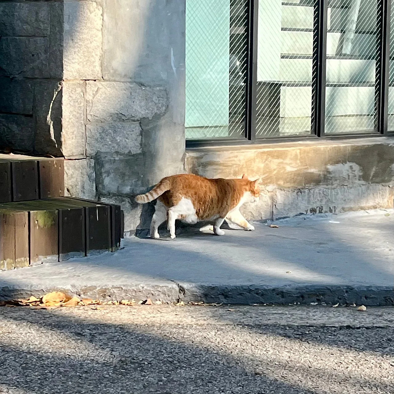 IMG%EF%BC%BF8973.jpg?type=w1600