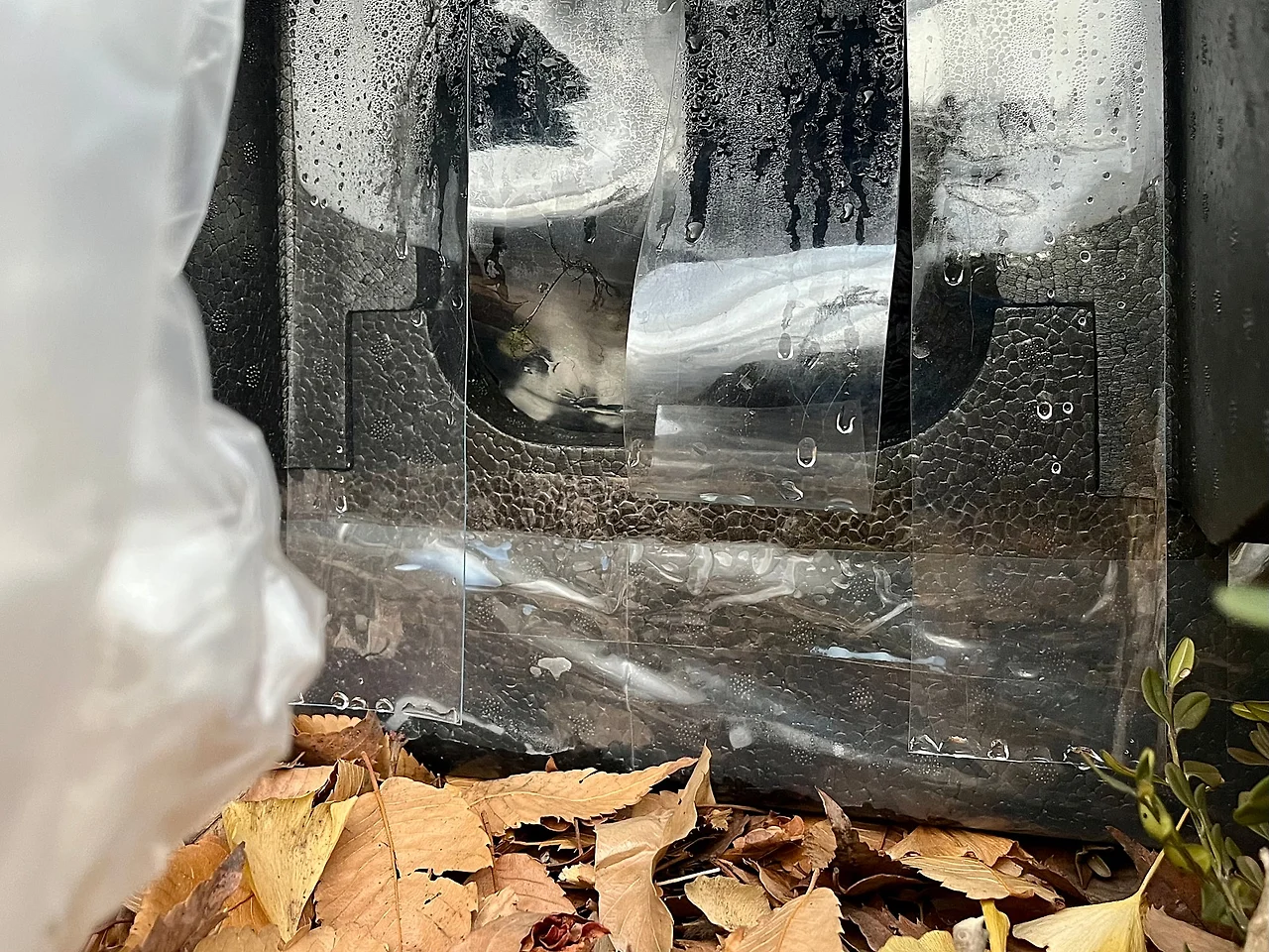 IMG%EF%BC%BF0726.jpg?type=w1600