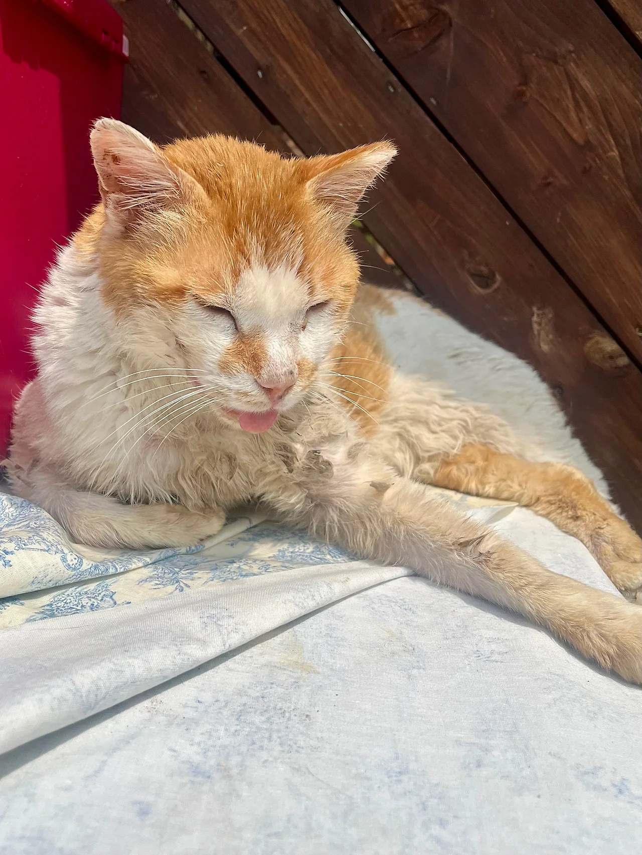 IMG%EF%BC%BF4387.jpg?type=w1600