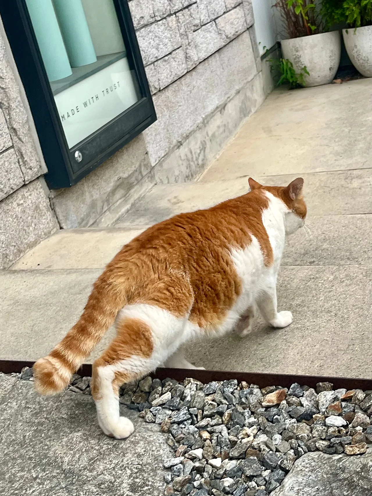 IMG%EF%BC%BF0711.jpg?type=w1600