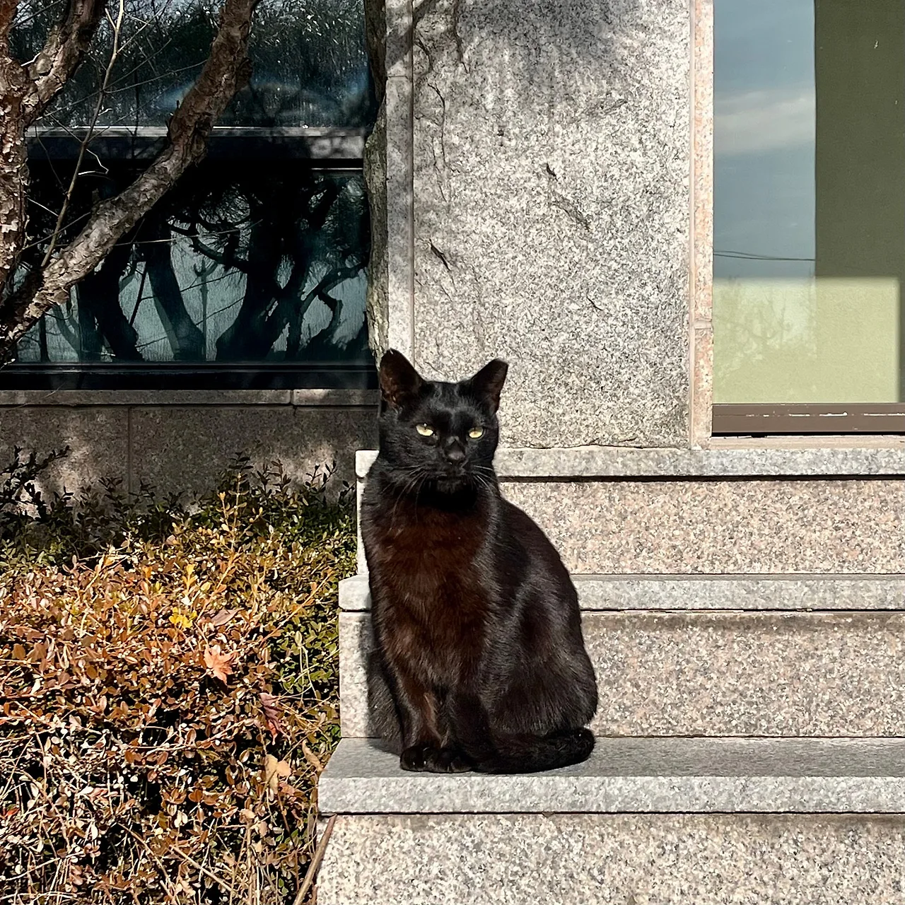 IMG%EF%BC%BF9843.jpg?type=w1600