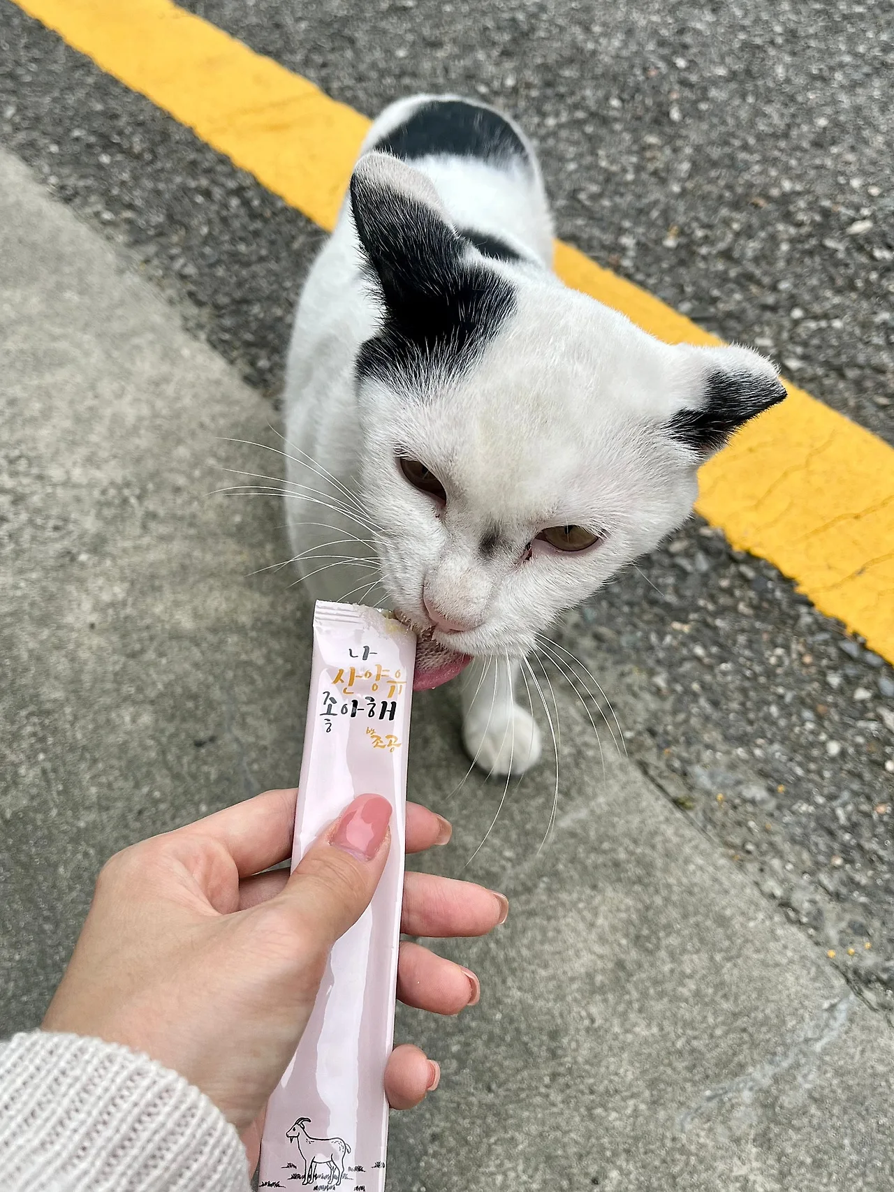 IMG%EF%BC%BF1476.jpg?type=w1600