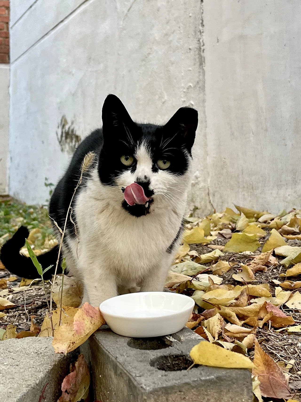 IMG%EF%BC%BF5090.jpg?type=w1600