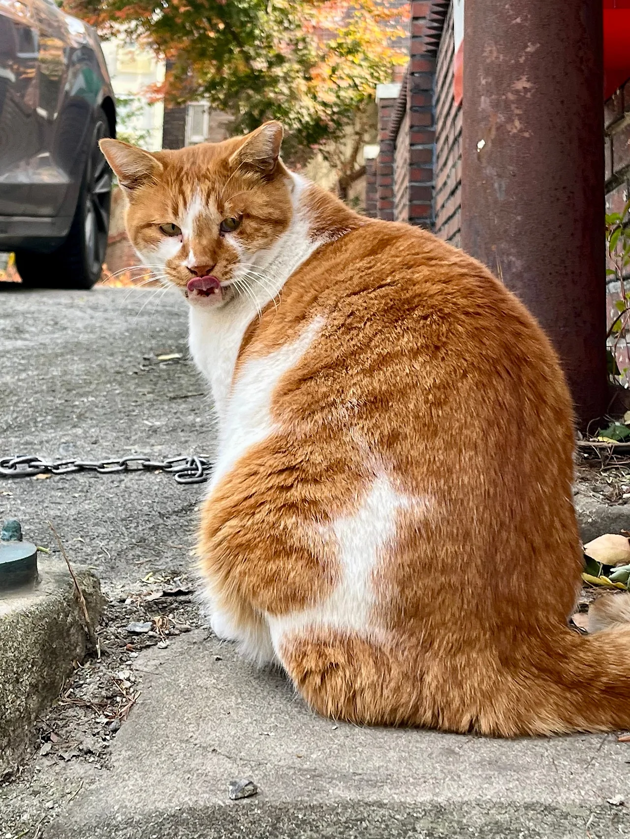 IMG%EF%BC%BF5040.jpg?type=w1600