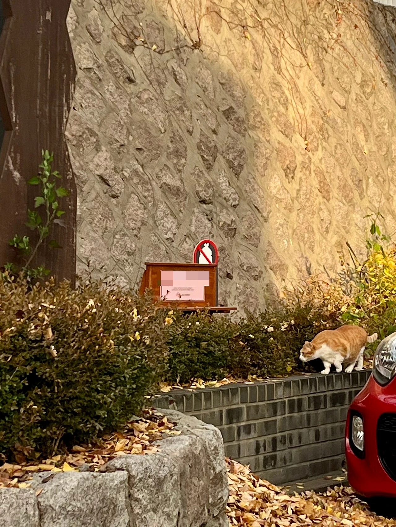 IMG%EF%BC%BF5563.jpg?type=w1600