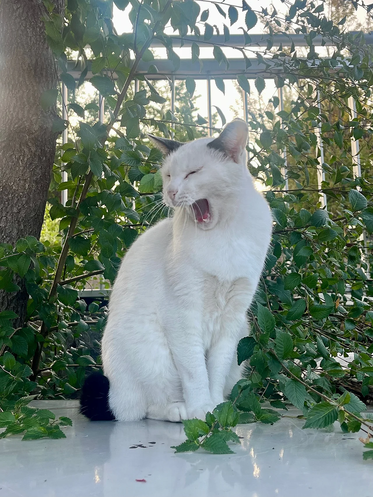 IMG%EF%BC%BF2334.jpg?type=w1600