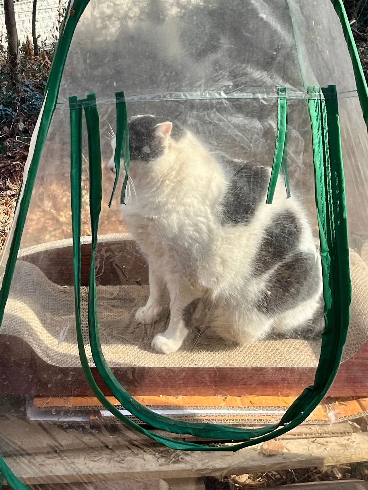 IMG%EF%BC%BF0980.jpg?type=w1600