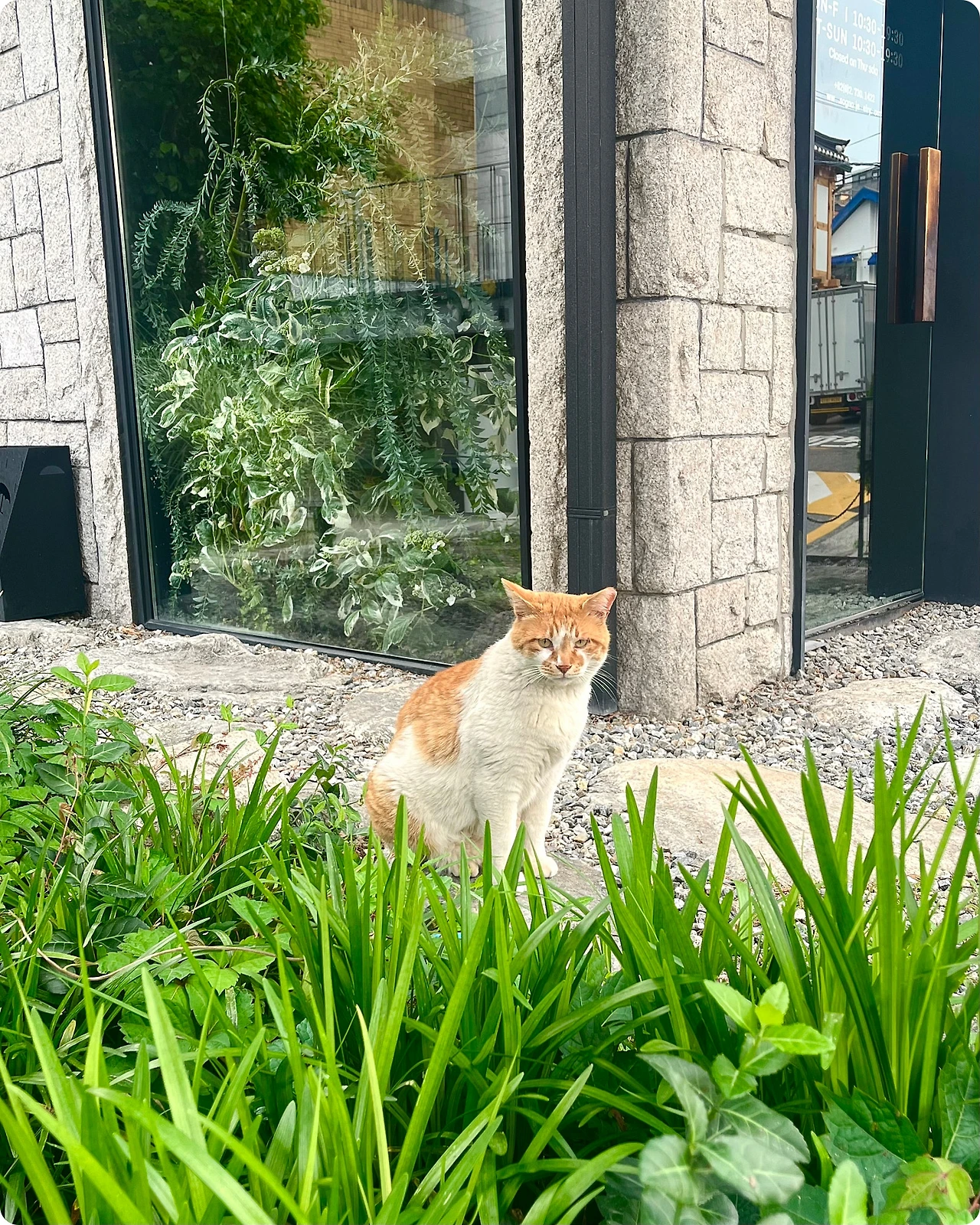 IMG_4562.jpg?type=w1600