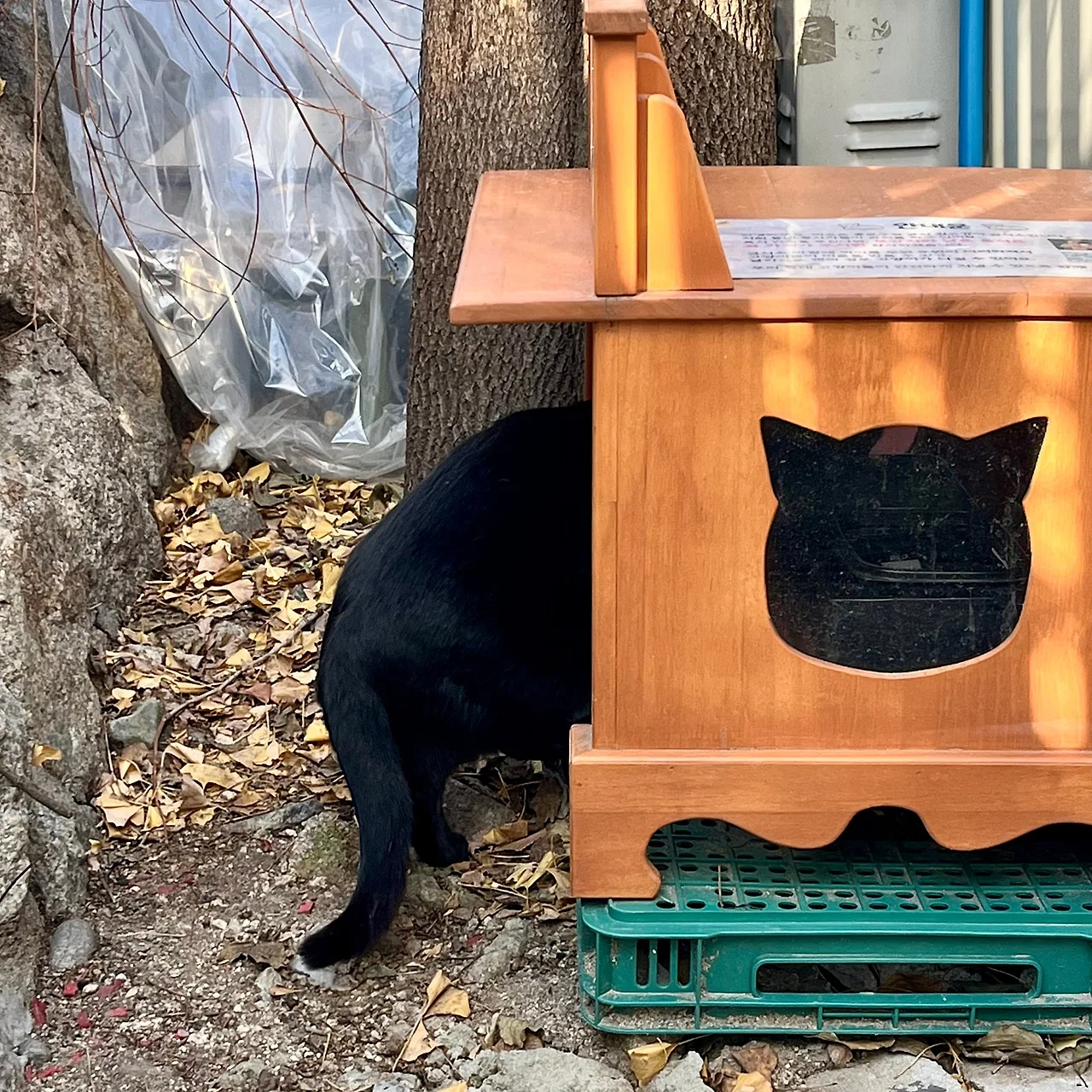 IMG%EF%BC%BF9860.jpg?type=w1600