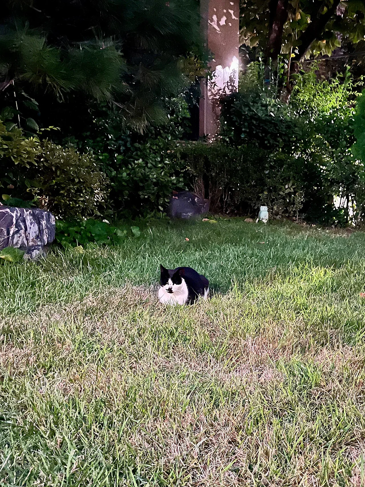 IMG%EF%BC%BF3177.jpg?type=w1600