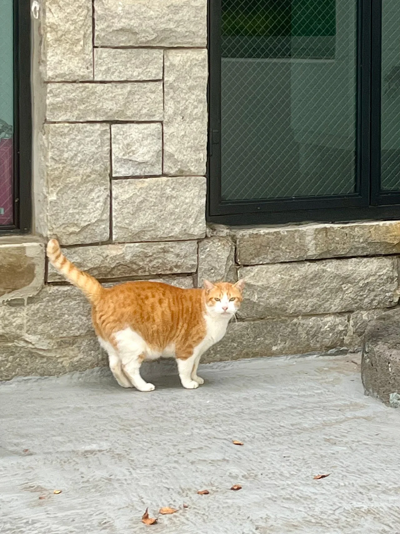 IMG%EF%BC%BF2231.jpg?type=w1600