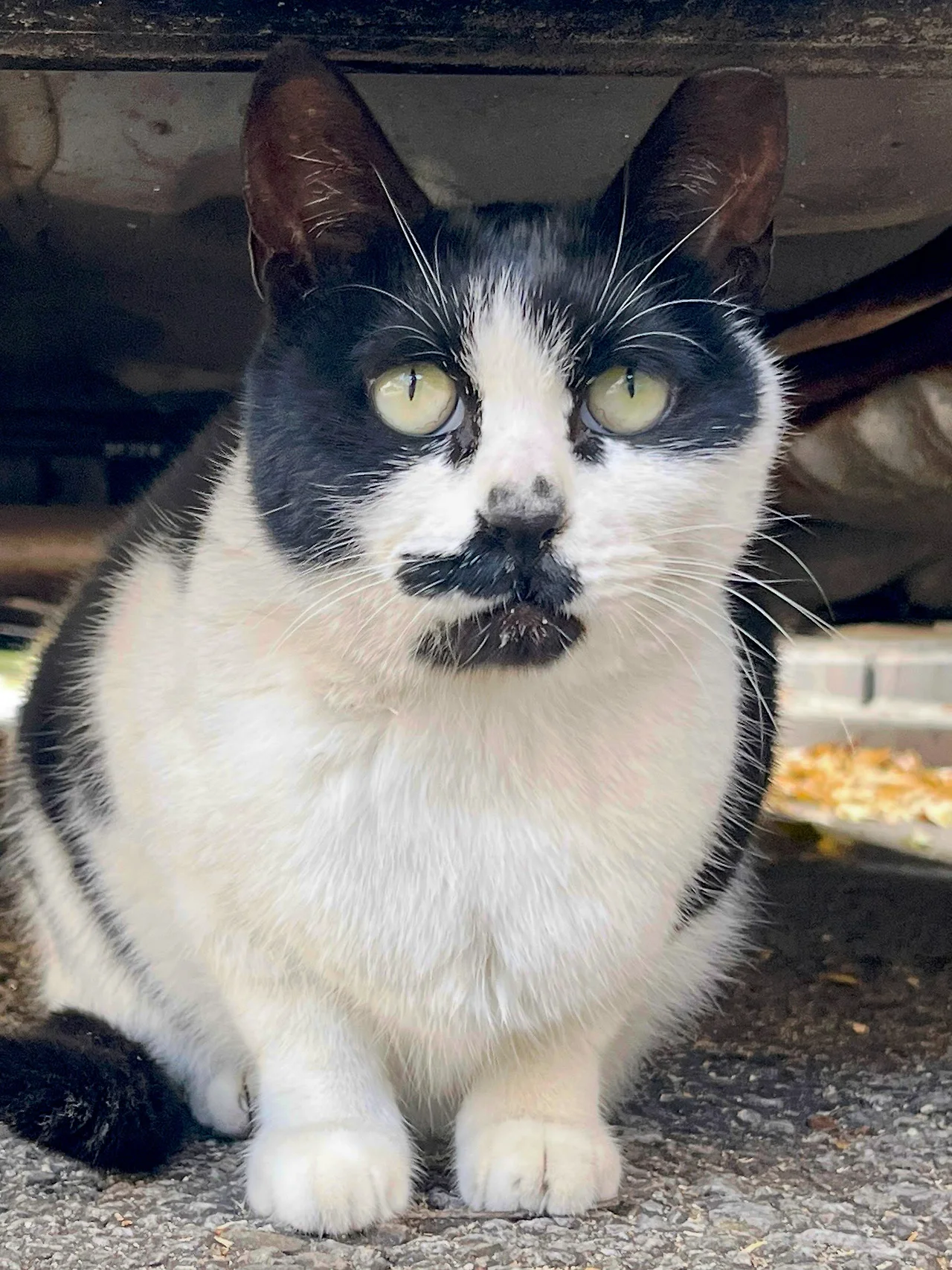 IMG%EF%BC%BF4192.jpg?type=w1600